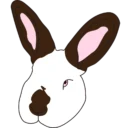 k_appa