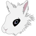 k_panda
